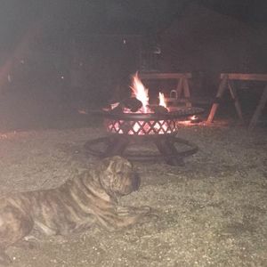 Meet your Posher, Matthew